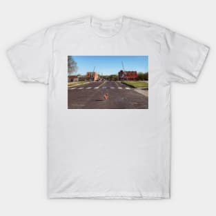 Why Did The Chicken Cross The Road.... T-Shirt